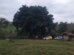 WhatsApp Image 2026-09-08 at 18.26.35