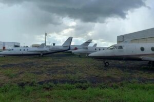 Jatinhos ganham espaço e Maringá entra nesse mercado