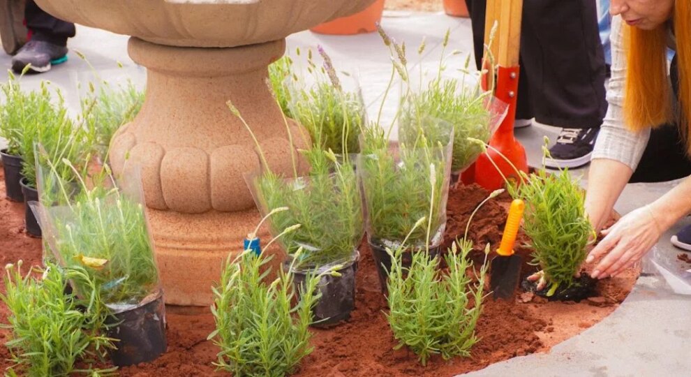 Maringá ganha Jardim Sensorial para atendimentos terapêuticos
