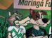 Memória e Paixão: hino composto em 1995 ganha nova versão para o Maringá Futebol Clube