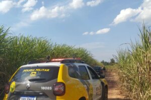 Mulher é resgatada amarrada e amordaçada em canavial após sofrer sequestro na região Noroeste