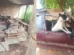 policia-civil-resgata-39-animais-e-encontra-cao-tr-01150379-0-202609291823-ProportionalFillBackground