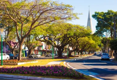 Foto: Cary Bertazzoni/Prefeitura de Maringá/Divulgação
