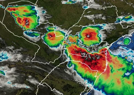 Temporal deixa dezenas de árvores caídas e causa danos em imóveis e postes em Maringá