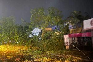 Temporal em Maringá registra ventos de 72km/h e derruba 22 árvores, afirma Defesa Civil