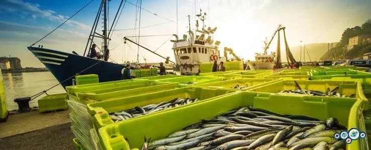 Brasil abre mercado de pescado nos Emirados Árabes