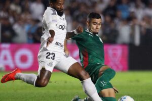 Brasileirão: Palmeiras fica no zero com o Santos e Flamengo agradece
