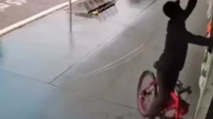 Câmera flagra homem furtando passarinho de pet shop em Maringá; veja vídeo