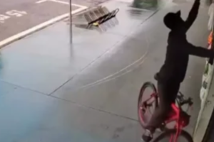 Câmera flagra homem furtando passarinho de pet shop em Maringá; veja vídeo