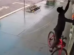 Câmera flagra homem furtando passarinho de pet shop em Maringá; veja vídeo