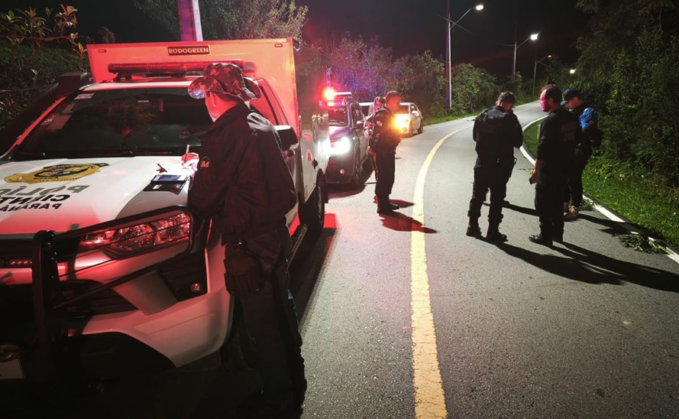 Casal vê cachorros às margens de rodovia e se depara com corpo de jovem morto a tiros
