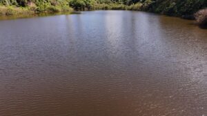 Homem contrata mergulhador para recuperar iPhone que caiu no lago do Parque do Ingá durante passeio de pedalinho