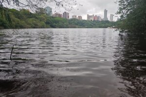 Lago do Parque do Ingá atinge maior nível de água em pouco mais de 1 ano