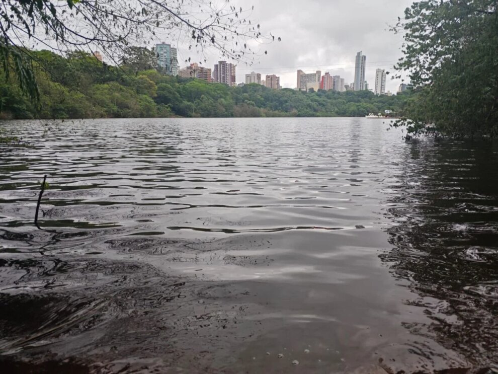 Lago do Parque do Ingá atinge maior nível de água em pouco mais de 1 ano