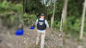 Mãe ouve disparos e corpos de três filhos são encontrados carbonizados em SC