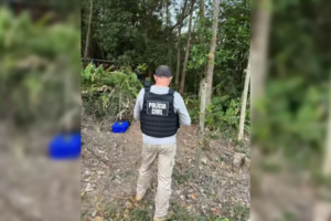Mãe ouve disparos e corpos de três filhos são encontrados carbonizados em SC