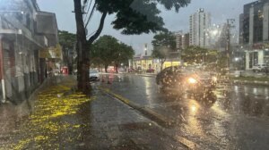 Maringá terá sexta-feira (2) de calor e possibilidade de chuva no fim da tarde, indica previsão do Simepar