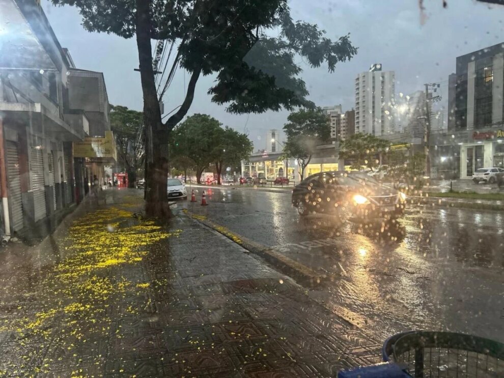 Maringá terá sexta-feira (2) de calor e possibilidade de chuva no fim da tarde, indica previsão do Simepar