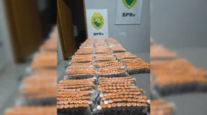Motorista é preso com quase 3 mil ampolas de remédio proibido após perseguição no PR