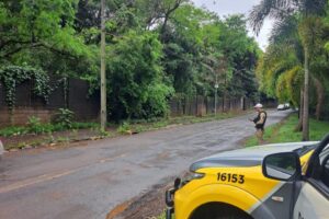 Operação da PM: Veículos com mais de mil infrações e R$ 350 mil em débitos são flagrados em Maringá