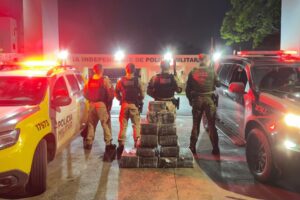 Perseguição na PR-323 termina com suspeito morto e mais de 236 kg de maconha apreendidos