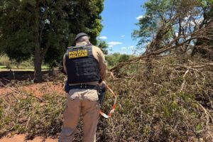 Suspeito de assassinar enteada de 14 anos em Floresta é morto após troca de tiros com a Polícia Militar