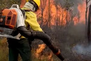 Veja os planos de Flávio e Lula para as cidades e manejo do fogo